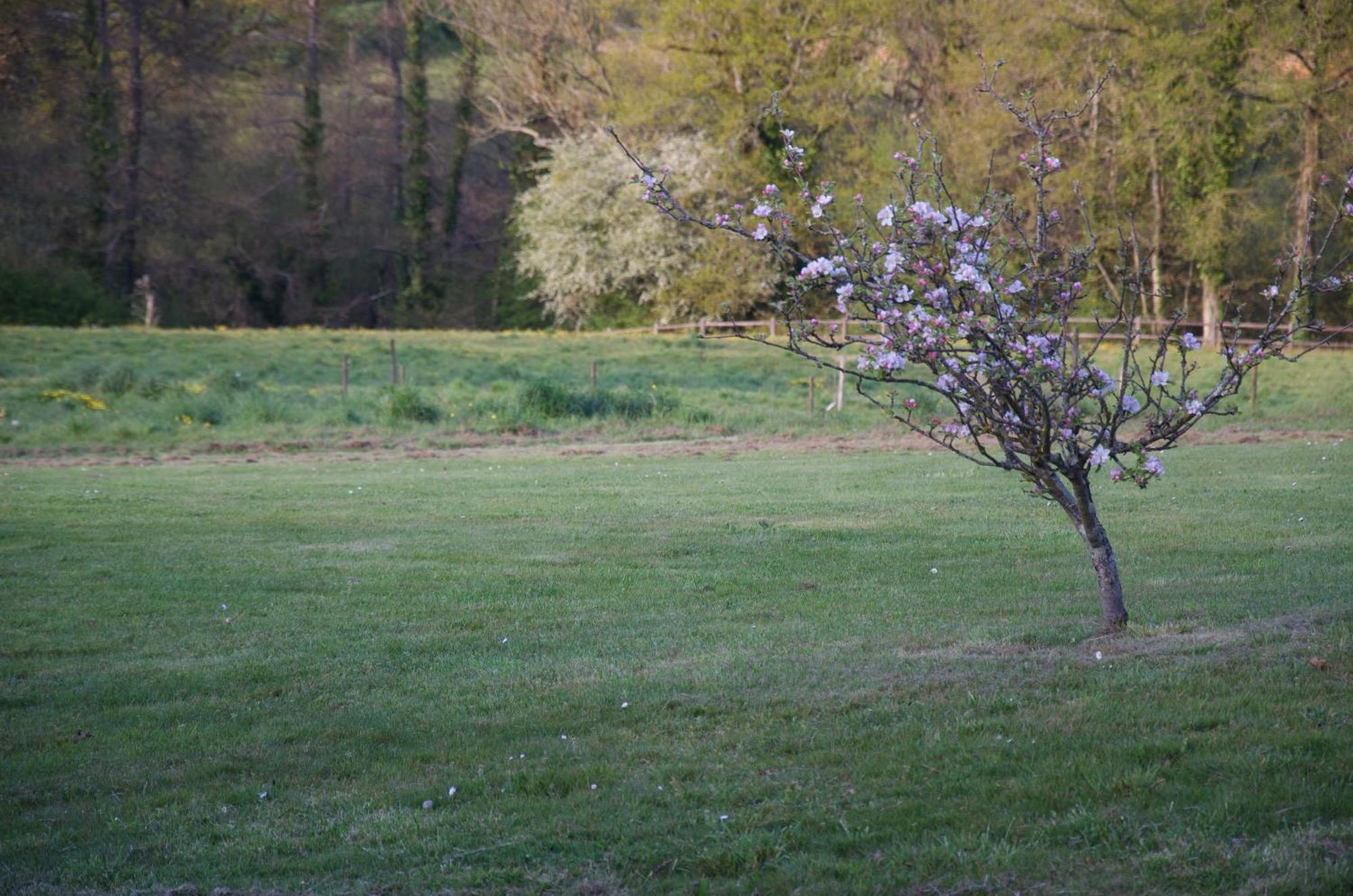 Gite Le Champ Libre Dompierre-Sur-Yon Luaran gambar